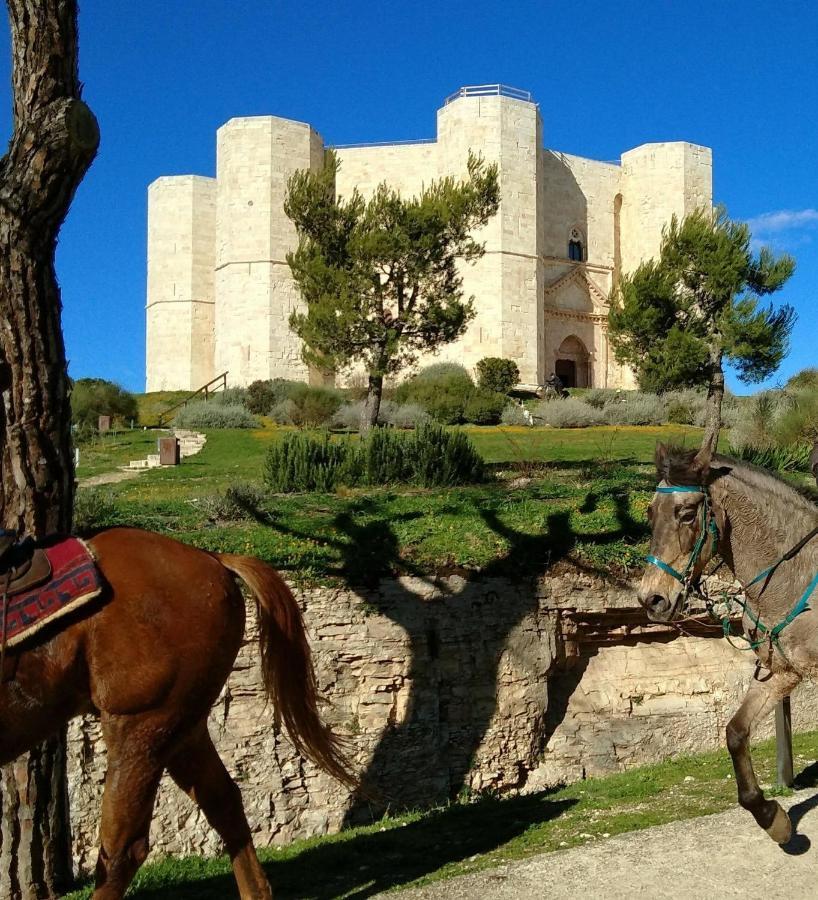 Casa Vacanza Dei Greci Barletta Zewnętrze zdjęcie